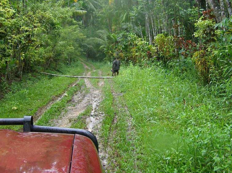 Door de jungle met een jeep